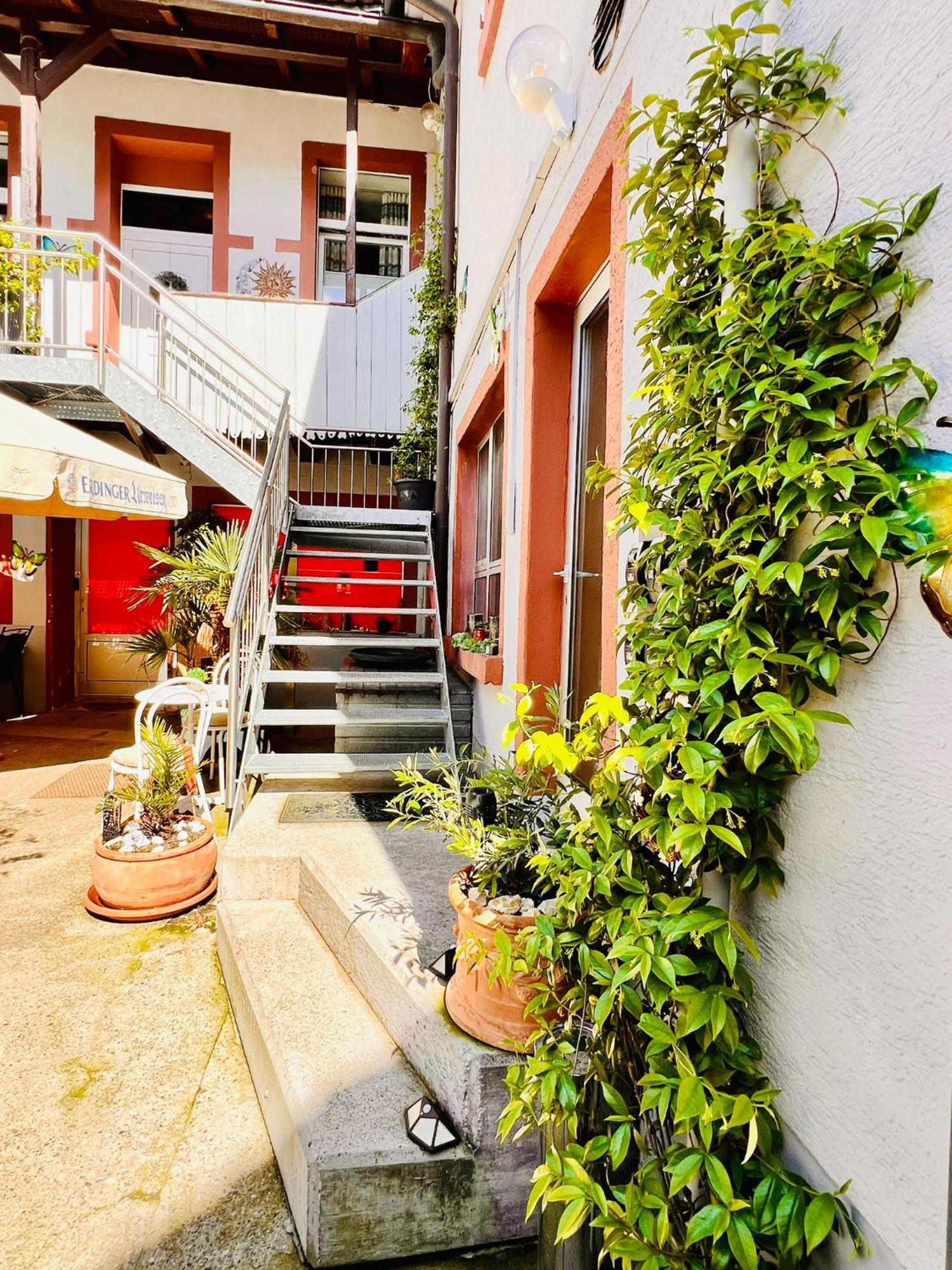 Apartment Luna -3 Schlafzimmer, Waschmaschine, Kueche, Wlan, Ca 15 Min Bis Zum Europa Park,